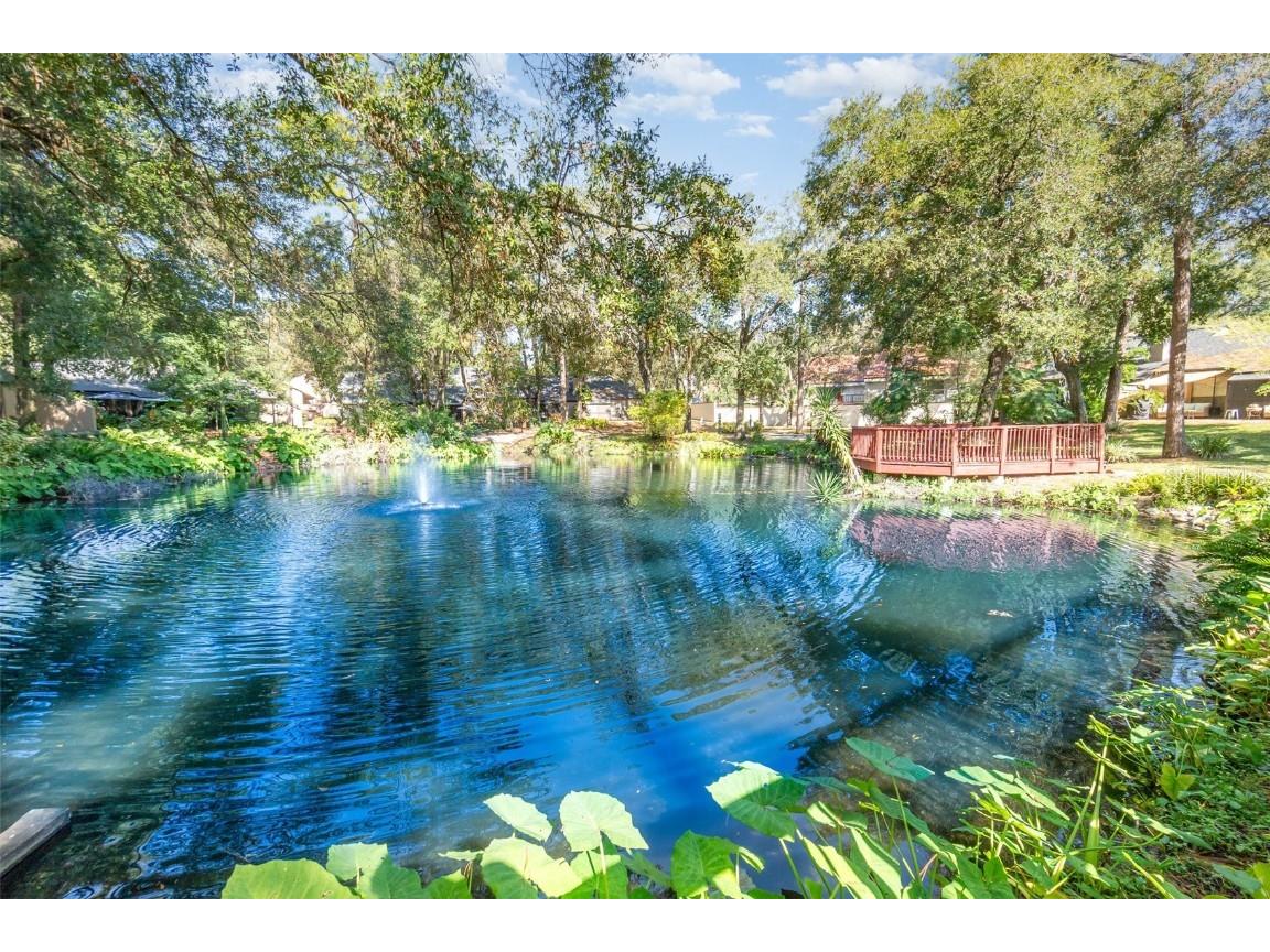 940 Douglas Avenue #175 Altamonte Springs FL 32714 O6363401 image39