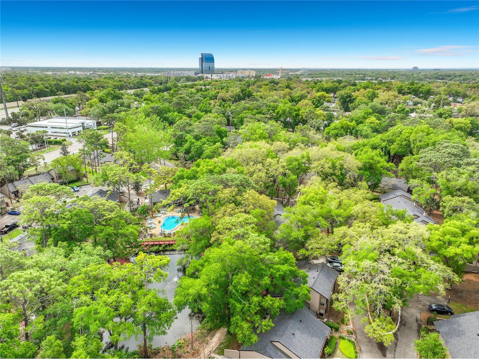 940 Douglas Avenue #197 Altamonte Springs FL 32714 O6404862 image58