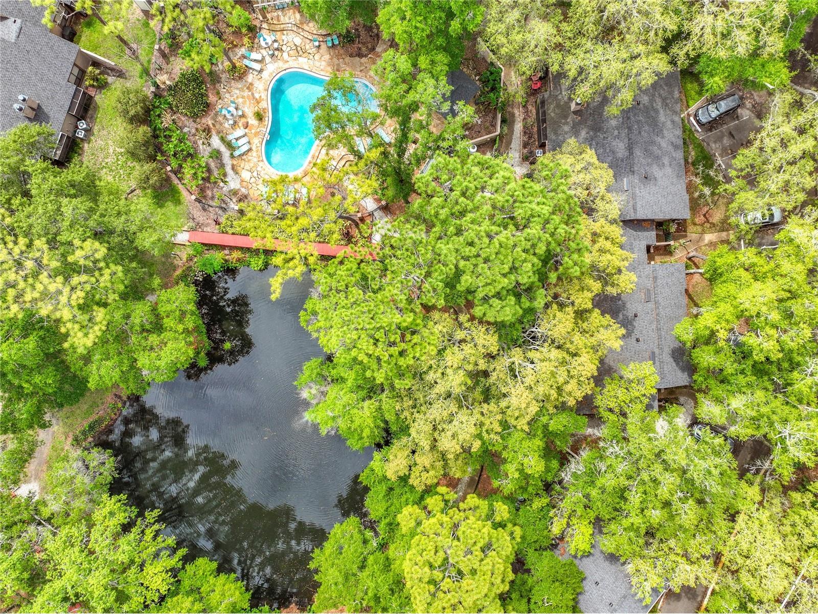 940 Douglas Avenue #197 Altamonte Springs FL 32714 O6404862 image6