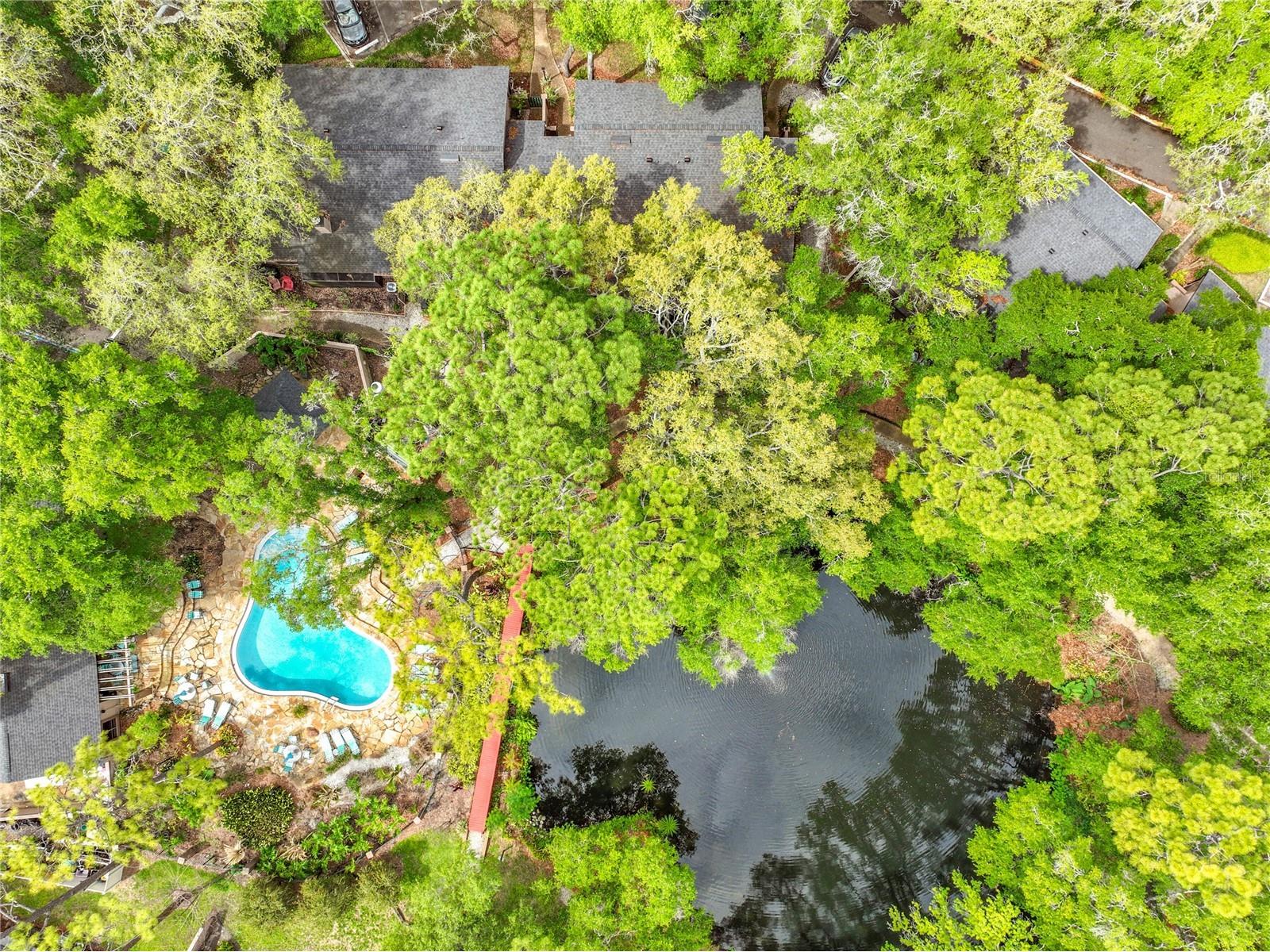 940 Douglas Avenue #197 Altamonte Springs FL 32714 O6404862 image7