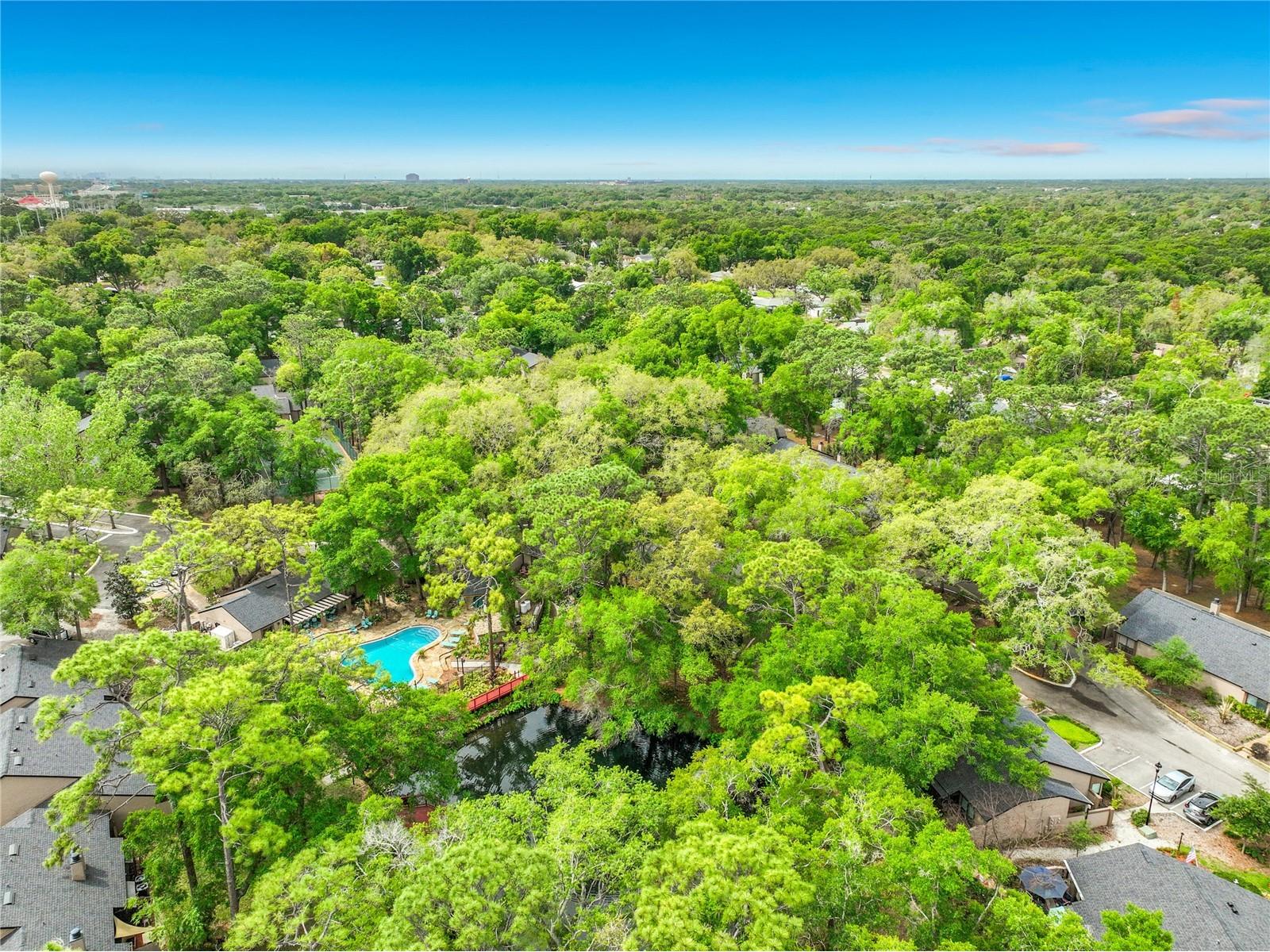 940 Douglas Avenue #197 Altamonte Springs FL 32714 O6404862 image8