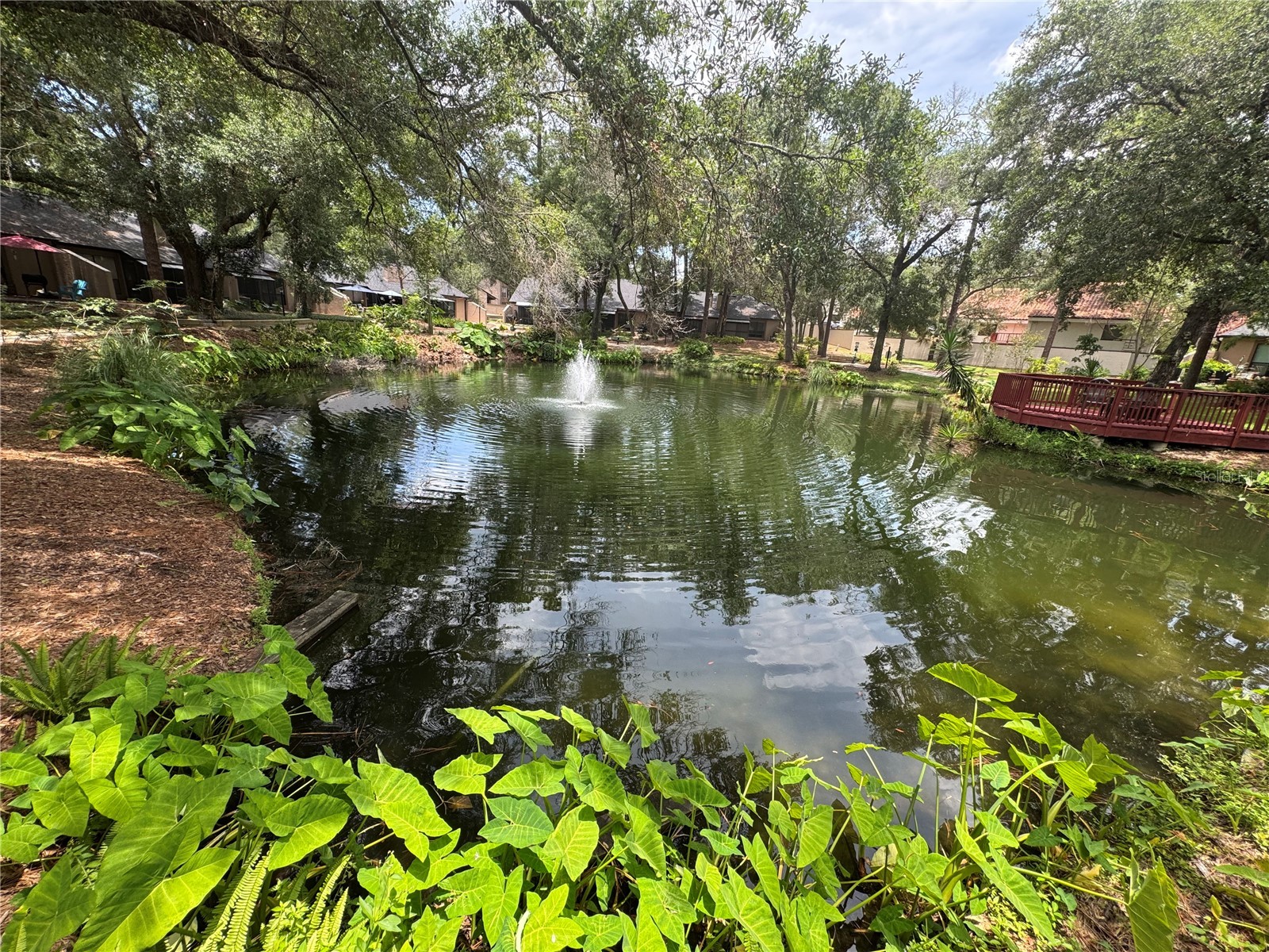 940 Douglas Avenue #218 Altamonte Springs FL 32714 O6414550 image38
