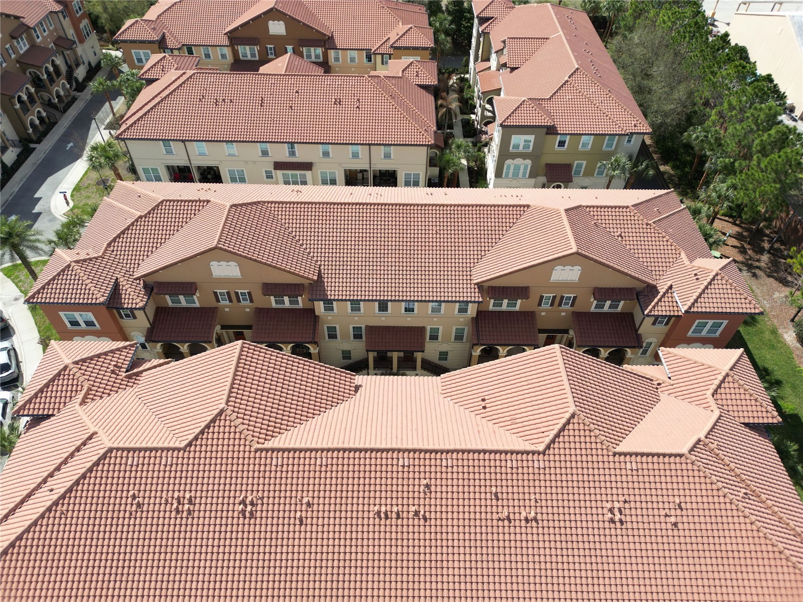 940 Lobelia Drive Lake Mary FL 32746 O6388323 image22