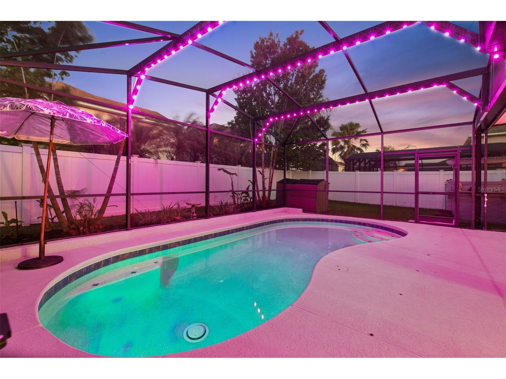 940 Marsh Reed Drive Winter Garden FL 34787 O6397274 image7