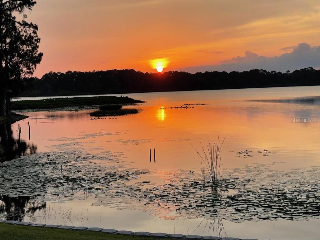 940 N Kepler Road Deland FL 32724 V4945628 image24