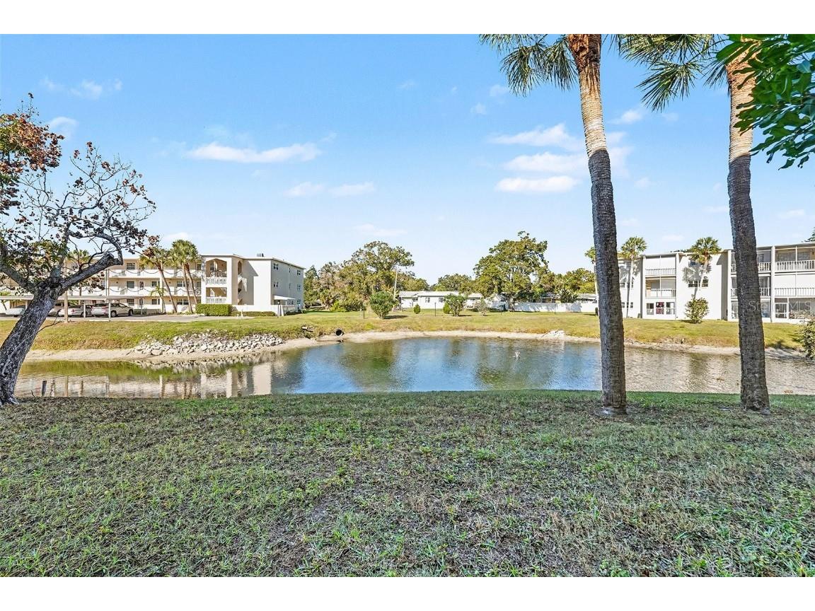 940 Virginia Street #105 Dunedin FL 34698 TB8459889 image13