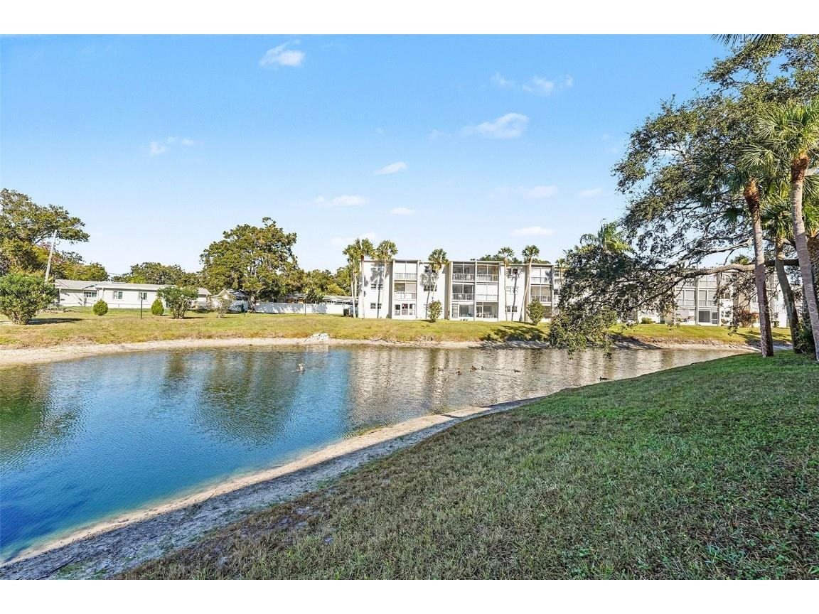 940 Virginia Street #105 Dunedin FL 34698 TB8459889 image14