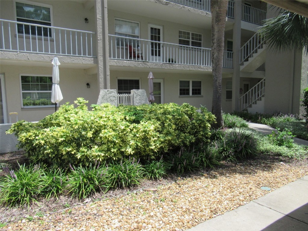 940 Virginia Street #107 Dunedin FL 34698 TB8431609 image1