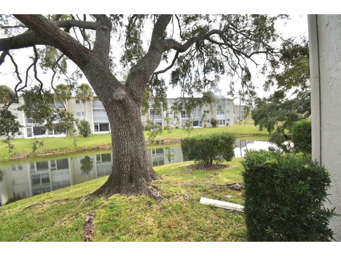 940 Virginia Street #108 Dunedin FL 34698 TB8430566 image10