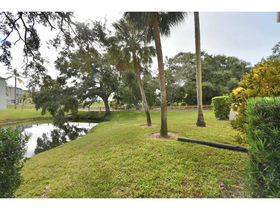 940 Virginia Street #108 Dunedin FL 34698 TB8430566 image11
