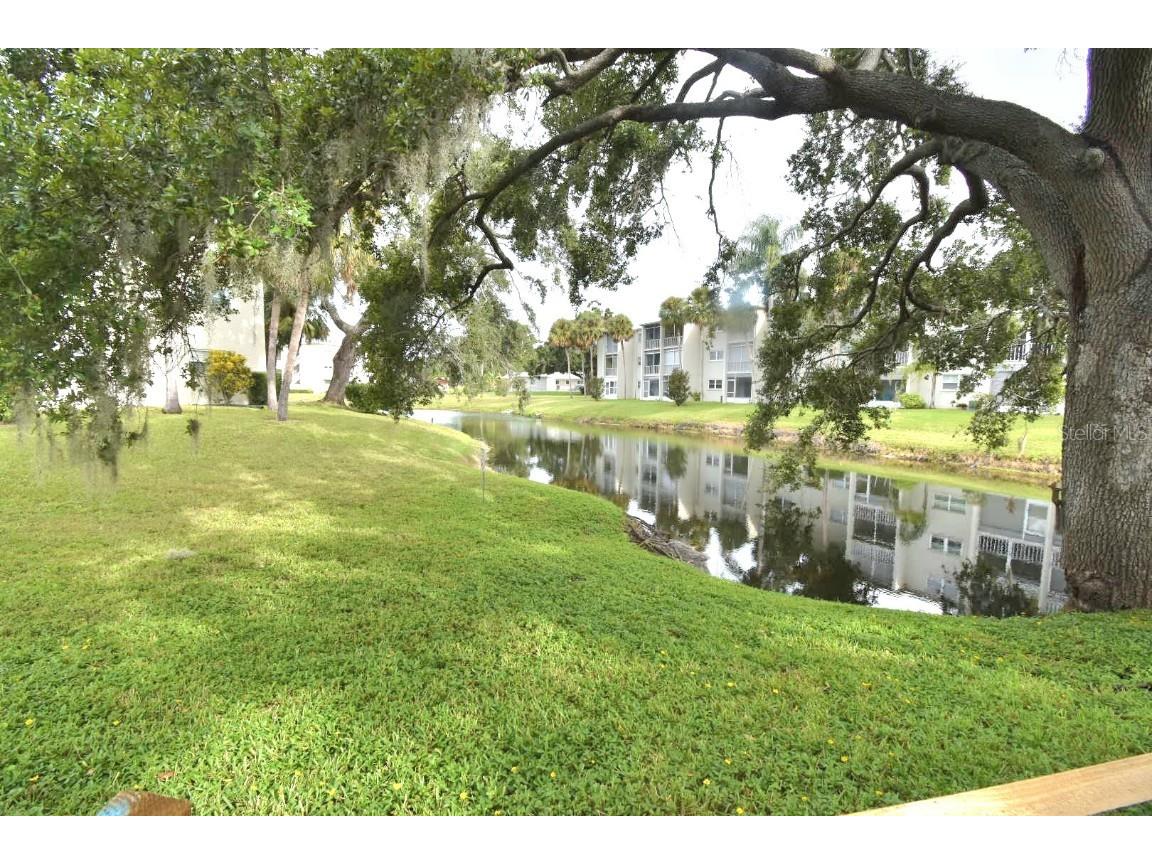 940 Virginia Street #108 Dunedin FL 34698 TB8430566 image4