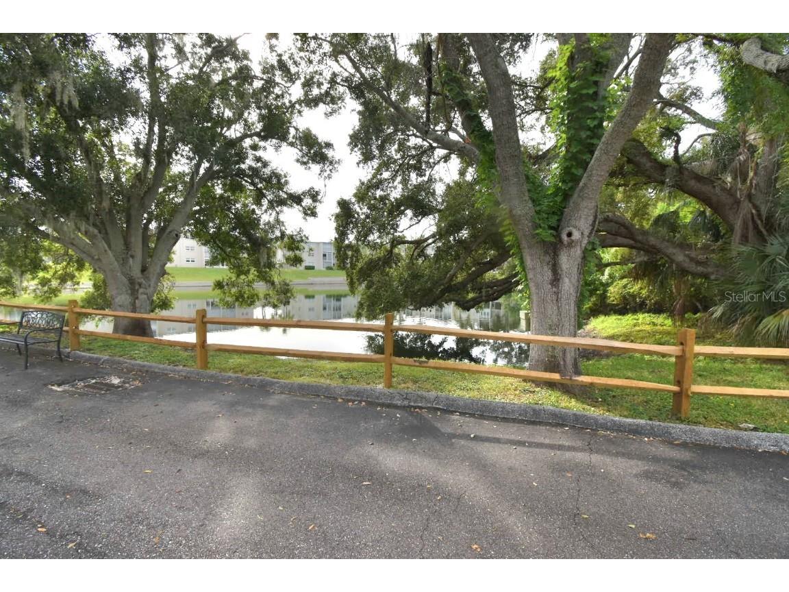 940 Virginia Street #108 Dunedin FL 34698 TB8430566 image5