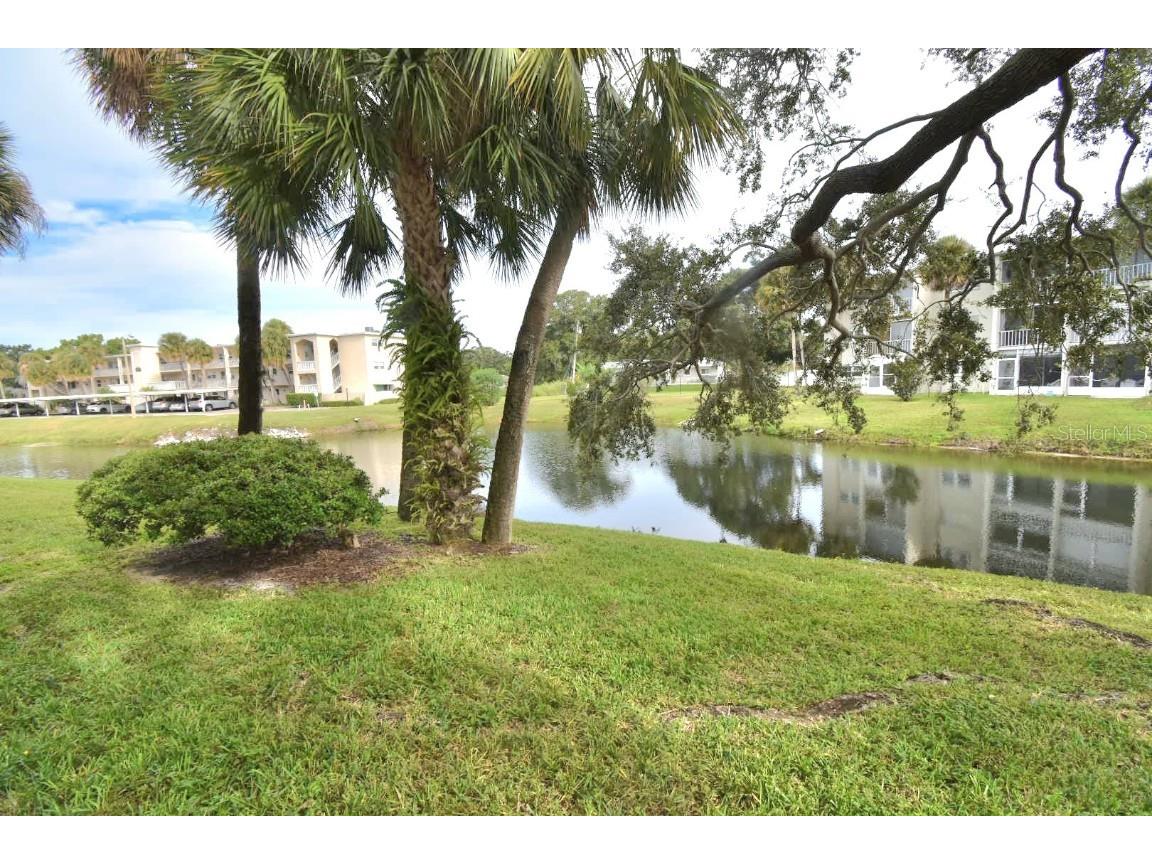940 Virginia Street #108 Dunedin FL 34698 TB8430566 image8