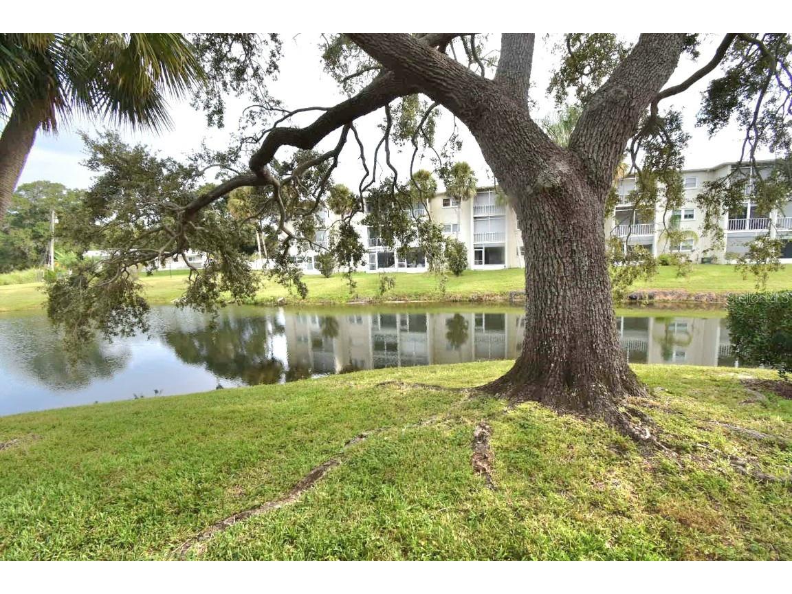 940 Virginia Street #108 Dunedin FL 34698 TB8430566 image9