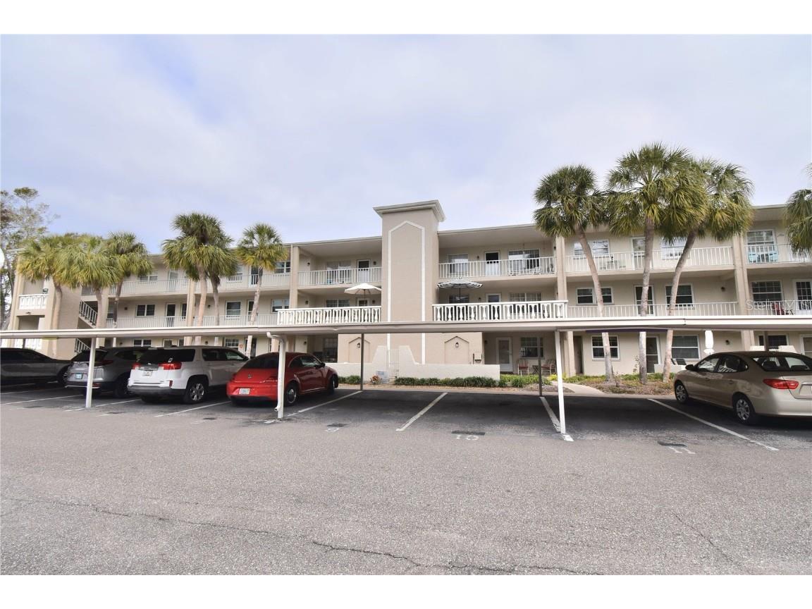 940 Virginia Street #208 Dunedin FL 34698 TB8344500 image1