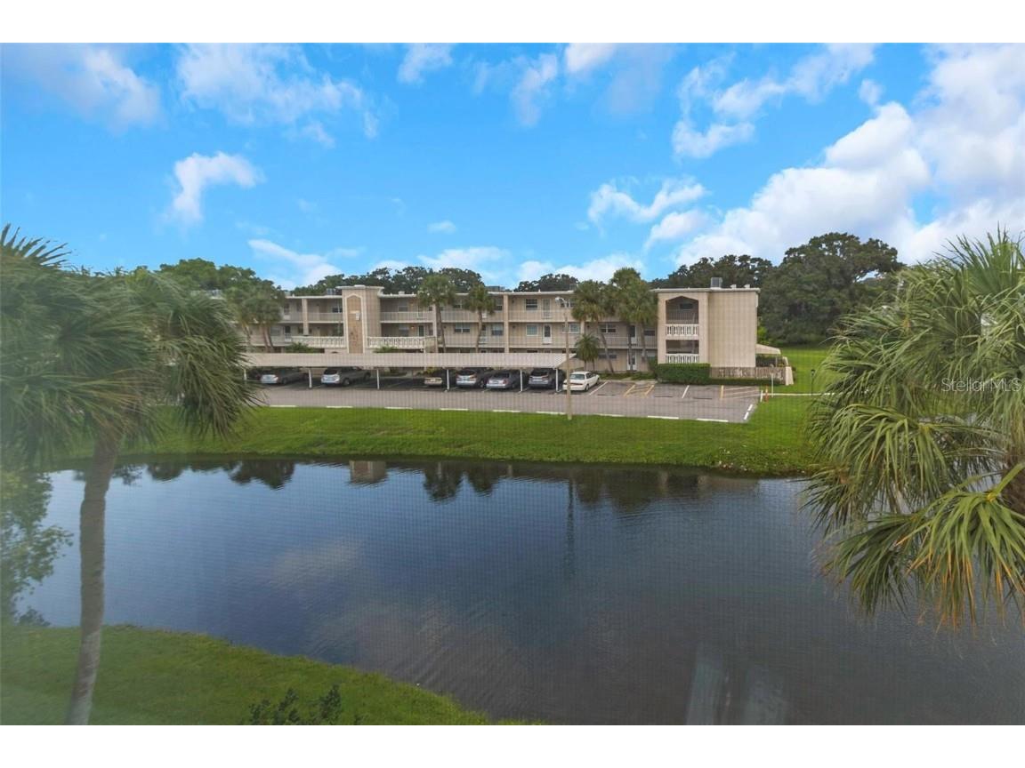 940 Virginia Street #303 Dunedin FL 34698 TB8408709 image11