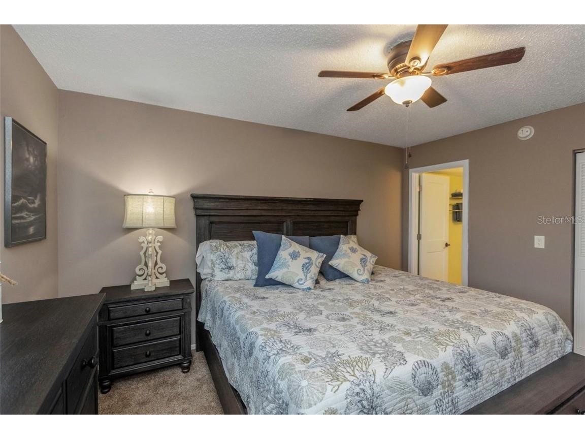 940 Virginia Street #303 Dunedin FL 34698 TB8408709 image15