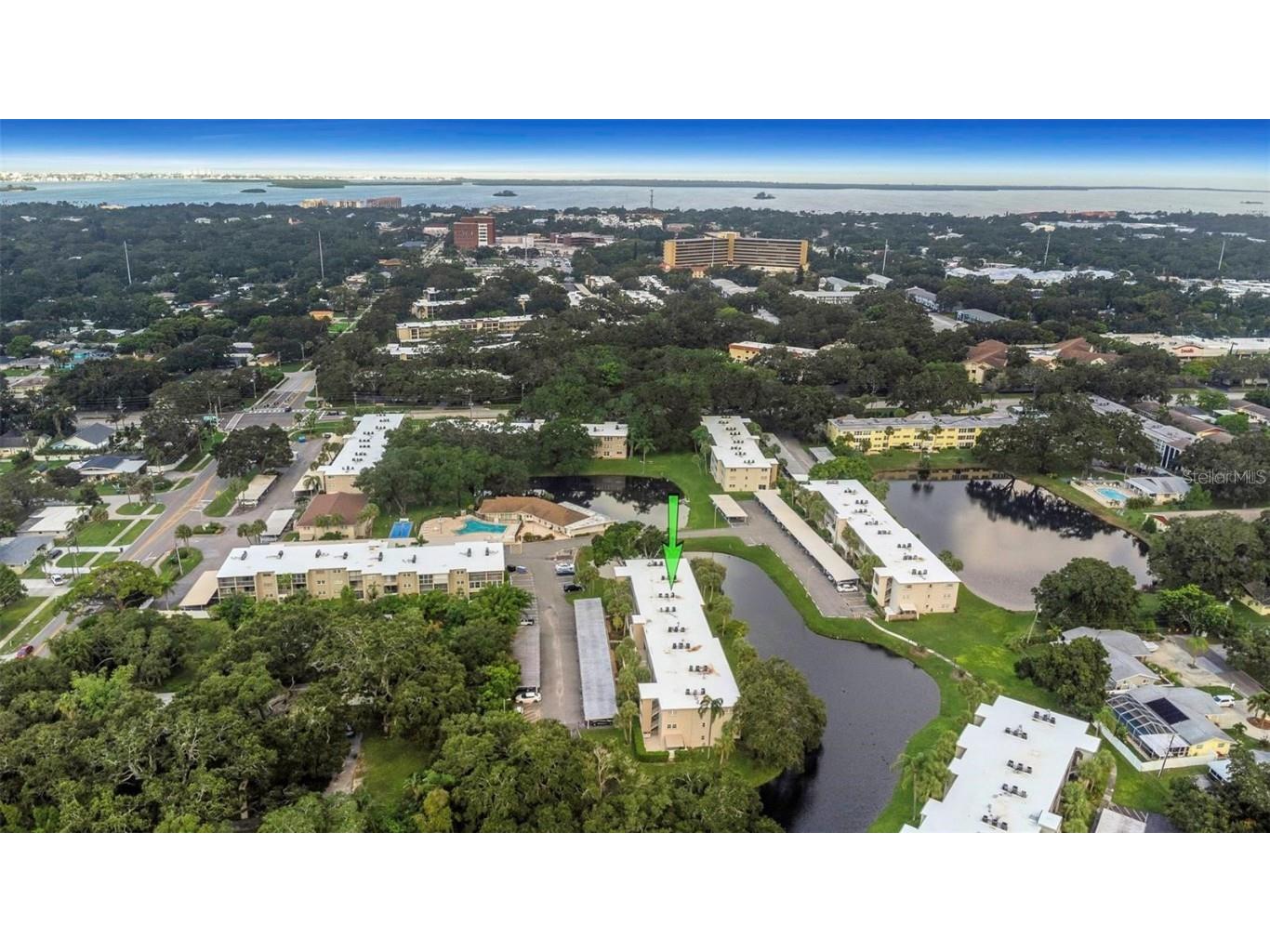 940 Virginia Street #303 Dunedin FL 34698 TB8408709 image2