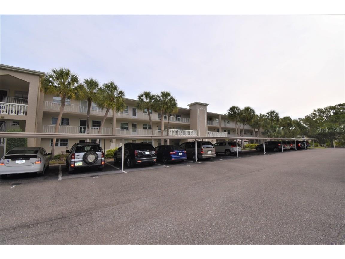 940 Virginia Street #304 Dunedin FL 34698 U8199333 image1