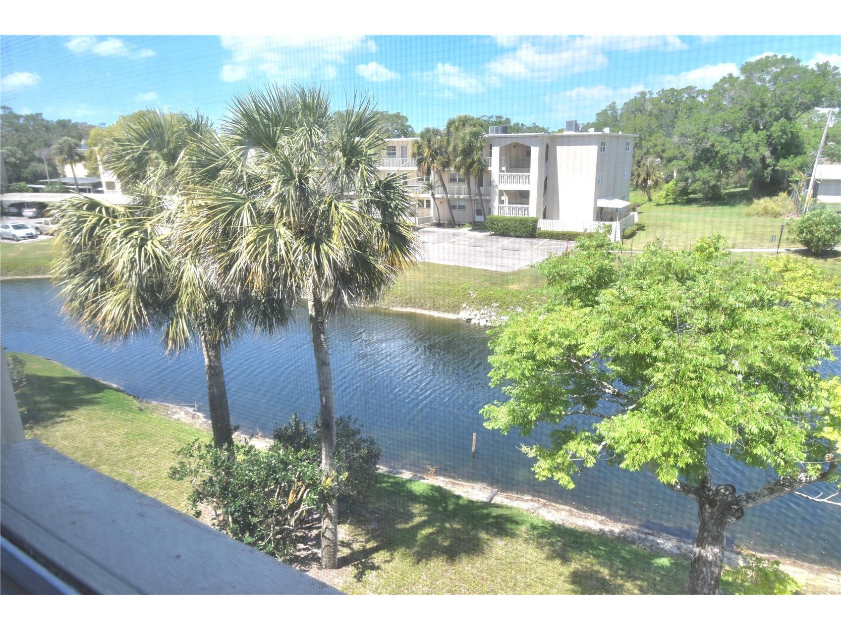 940 Virginia Street #304 Dunedin FL 34698 TB8373368 image14