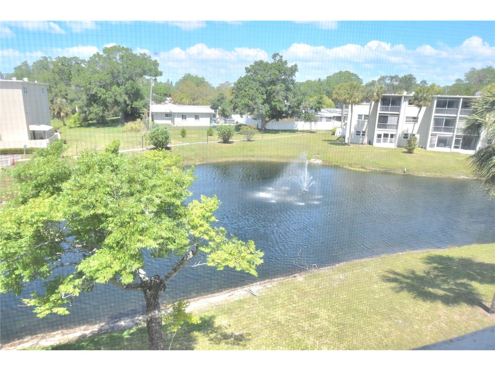 940 Virginia Street #304 Dunedin FL 34698 TB8373368 image15