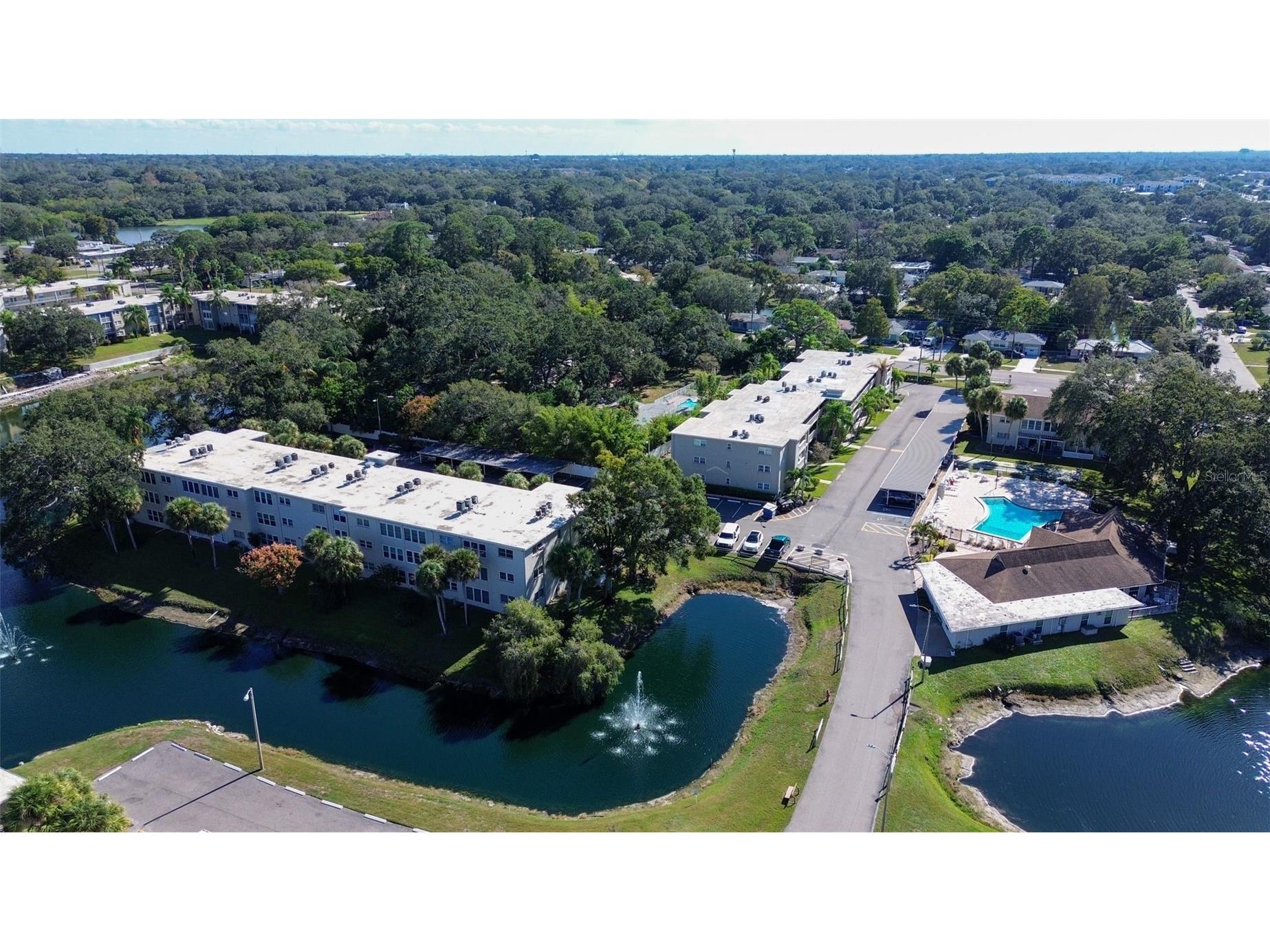 940 Virginia Street #304 Dunedin FL 34698 TB8373368 image2