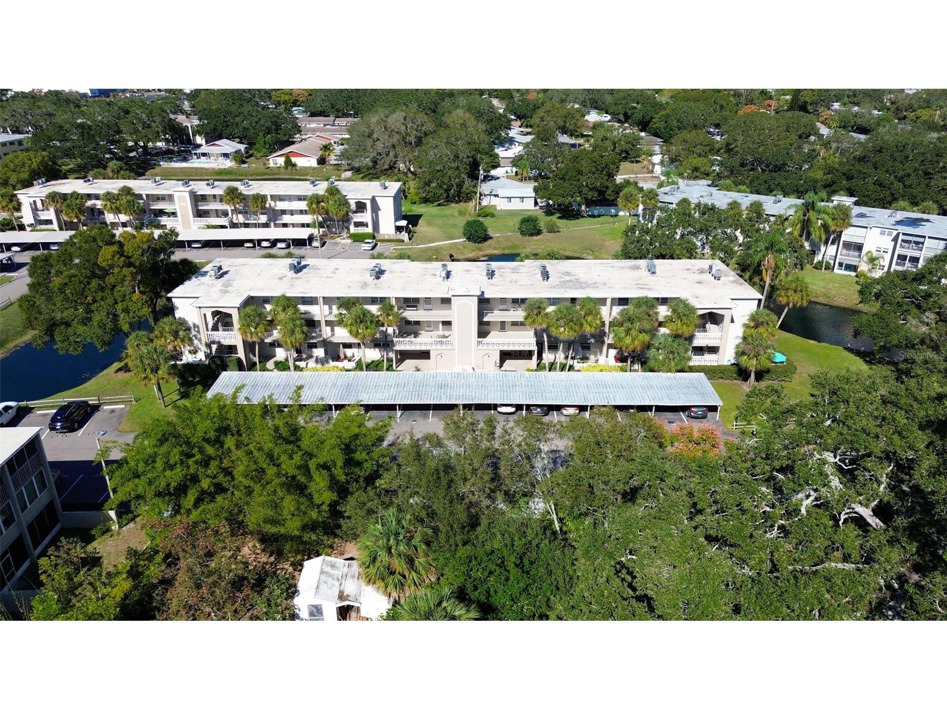 940 Virginia Street #304 Dunedin FL 34698 TB8373368 image24