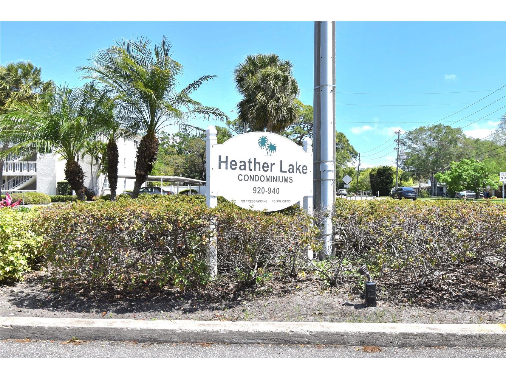 940 Virginia Street #304 Dunedin FL 34698 TB8373368 image3