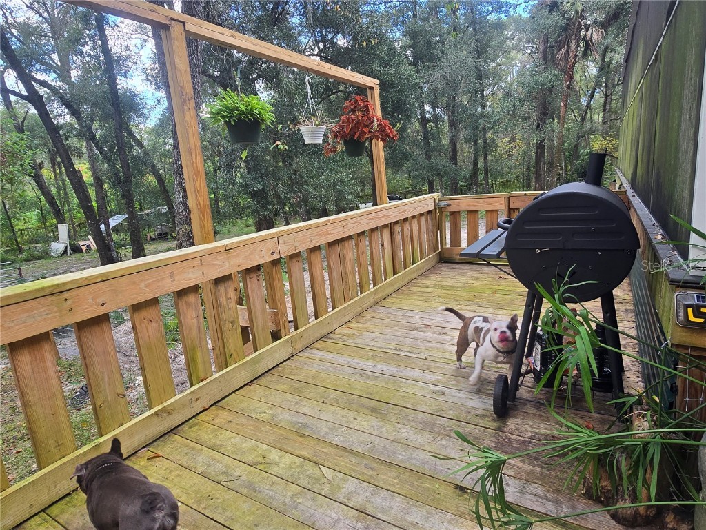 940 W Minnesota Avenue Orange City FL 32763 V4945846 image33