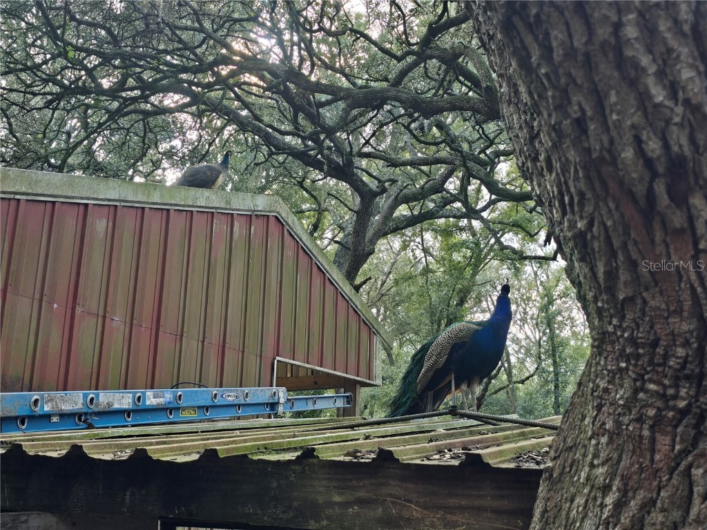 940 W Minnesota Avenue Orange City FL 32763 V4945846 image57