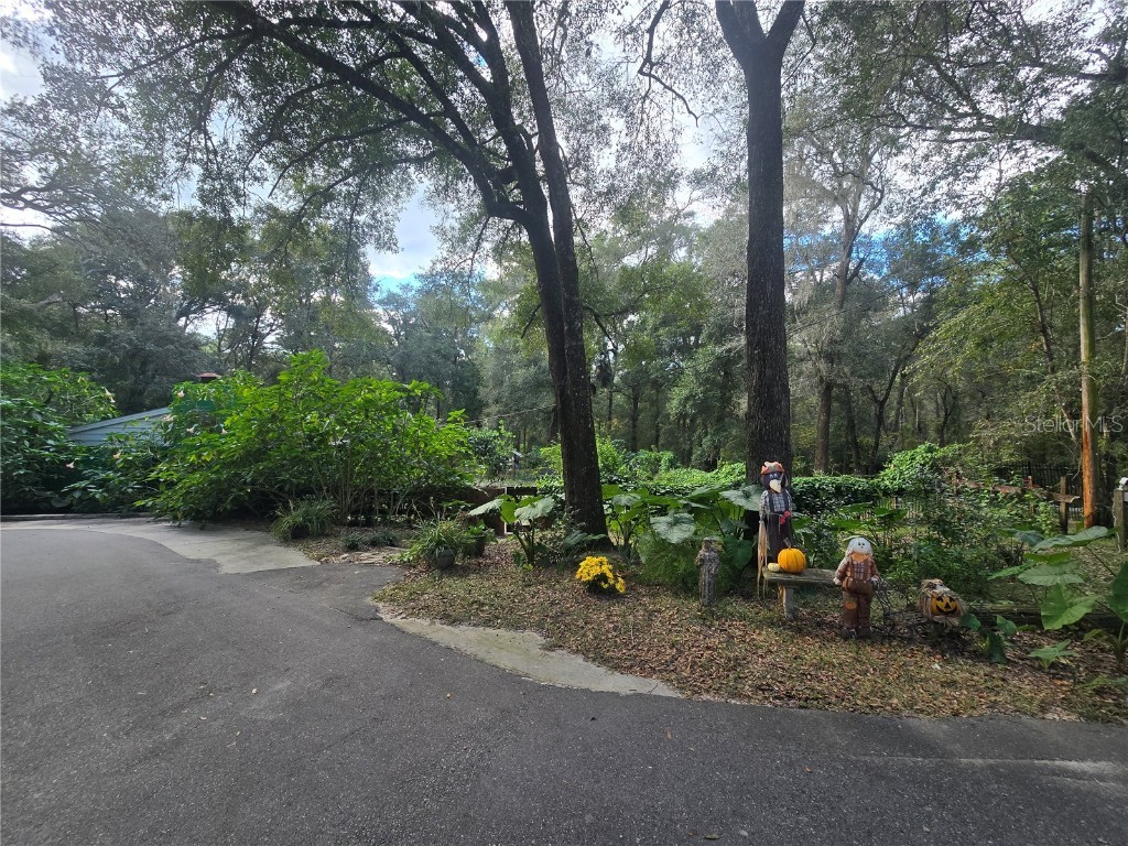 940 W Minnesota Avenue Orange City FL 32763 V4945846 image61