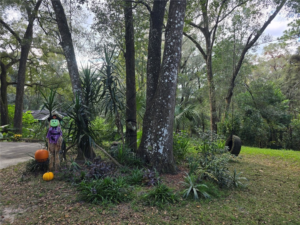 940 W Minnesota Avenue Orange City FL 32763 V4945846 image64