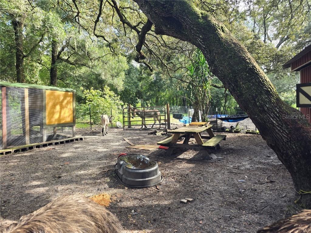 940 W Minnesota Avenue Orange City FL 32763 V4945846 image66