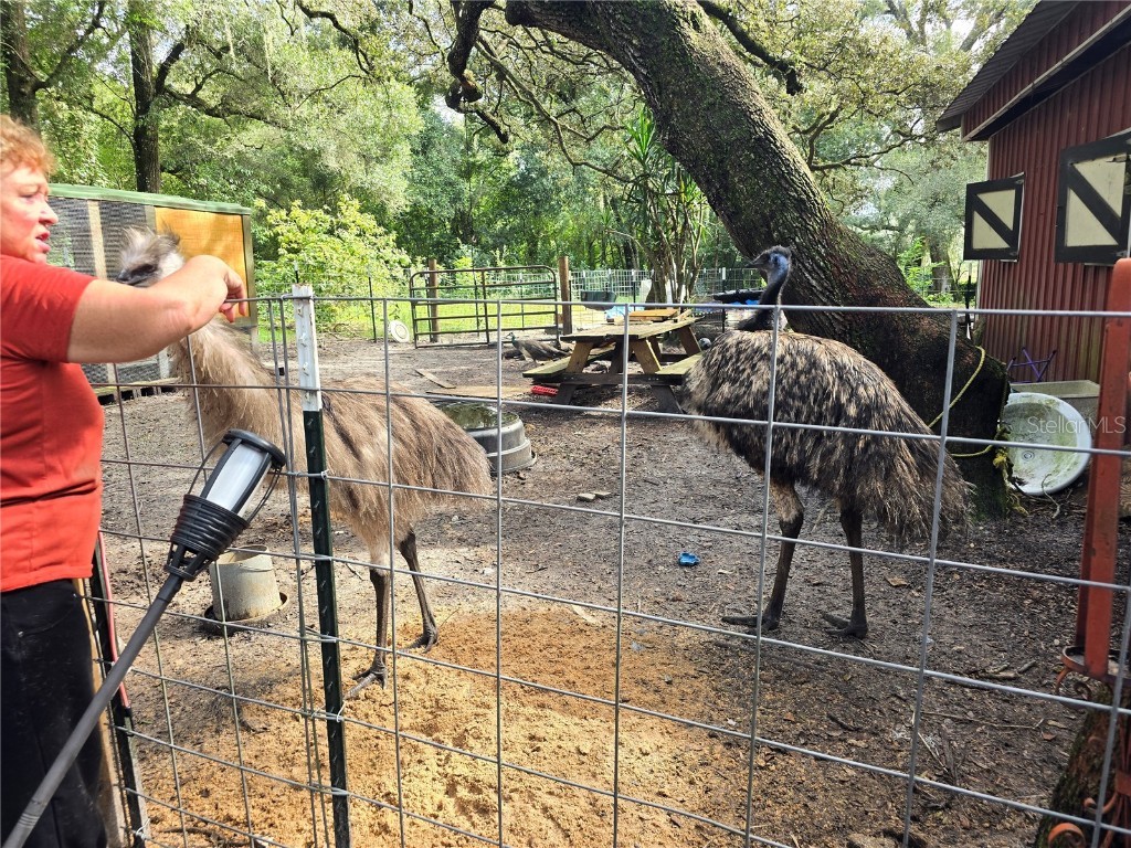 940 W Minnesota Avenue Orange City FL 32763 V4945846 image67