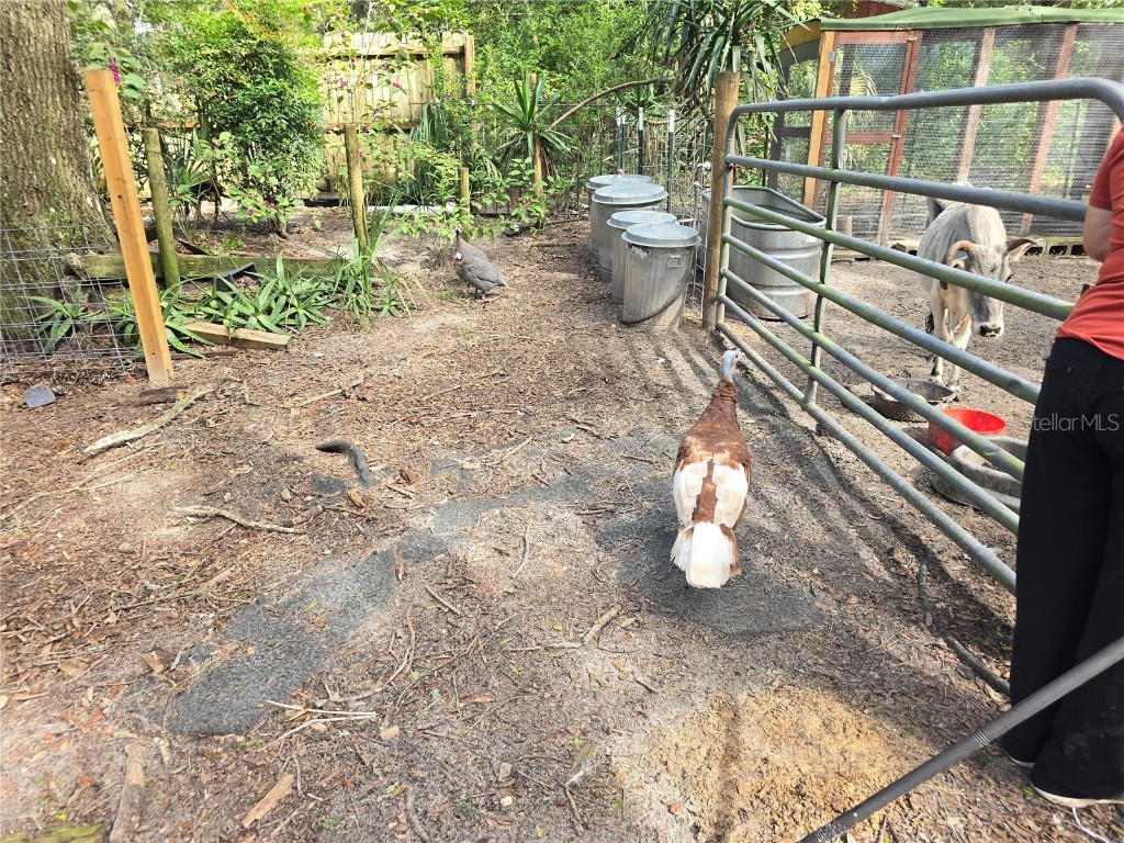 940 W Minnesota Avenue Orange City FL 32763 V4945846 image68