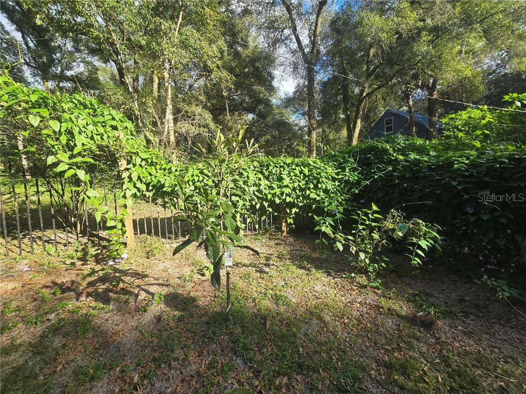 940 W Minnesota Avenue Orange City FL 32763 V4945846 image76