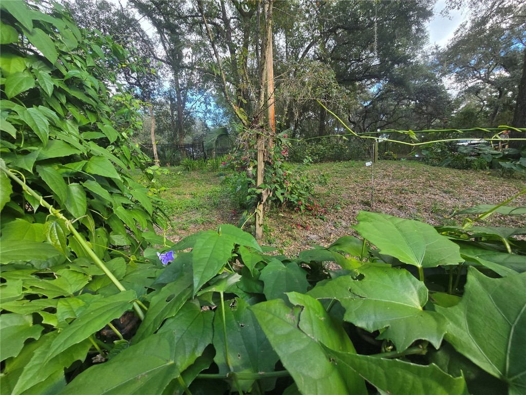 940 W Minnesota Avenue Orange City FL 32763 V4945846 image78