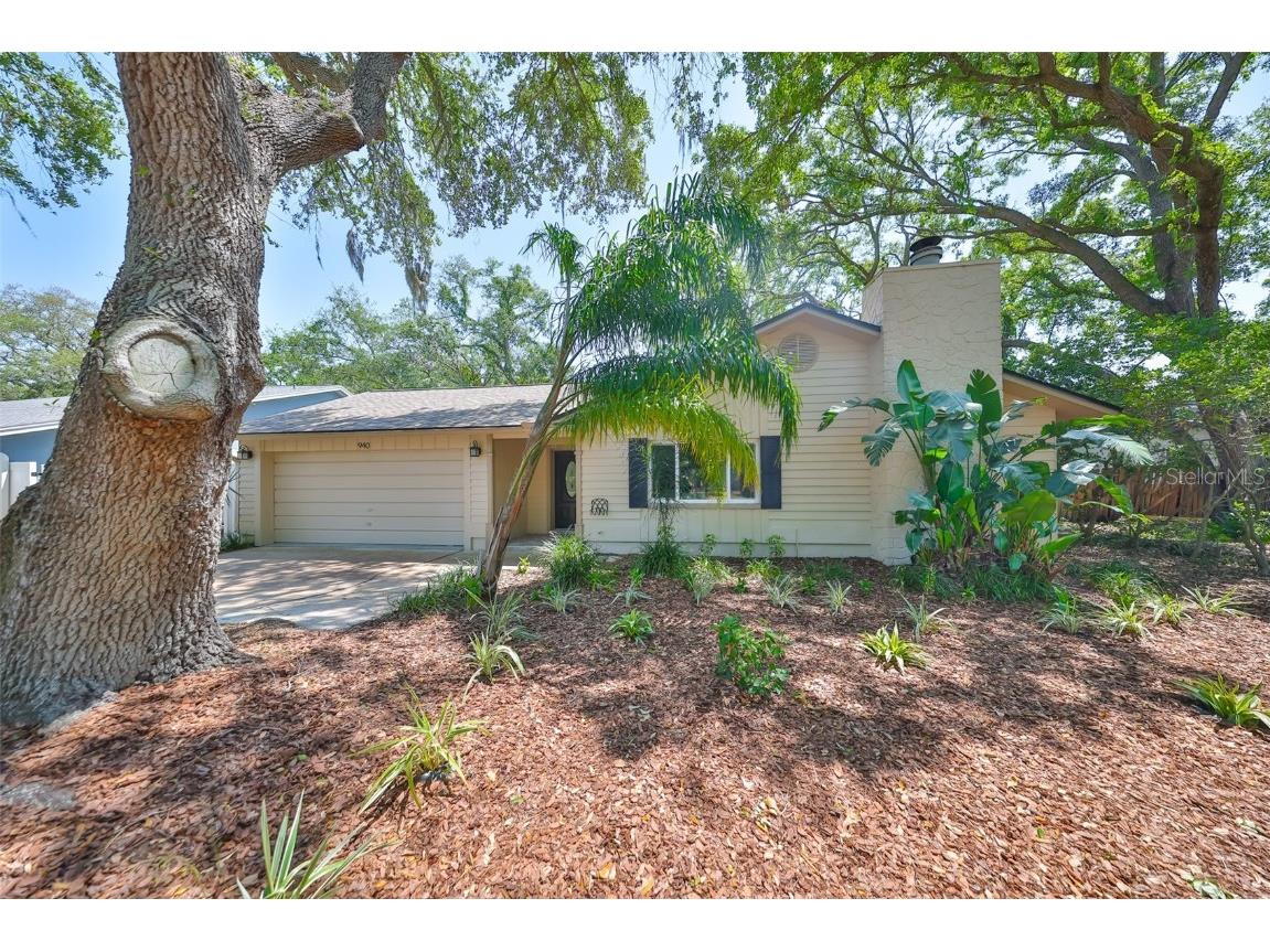 940 Woodland Drive Palm Harbor FL 34683 TB8373170 image1