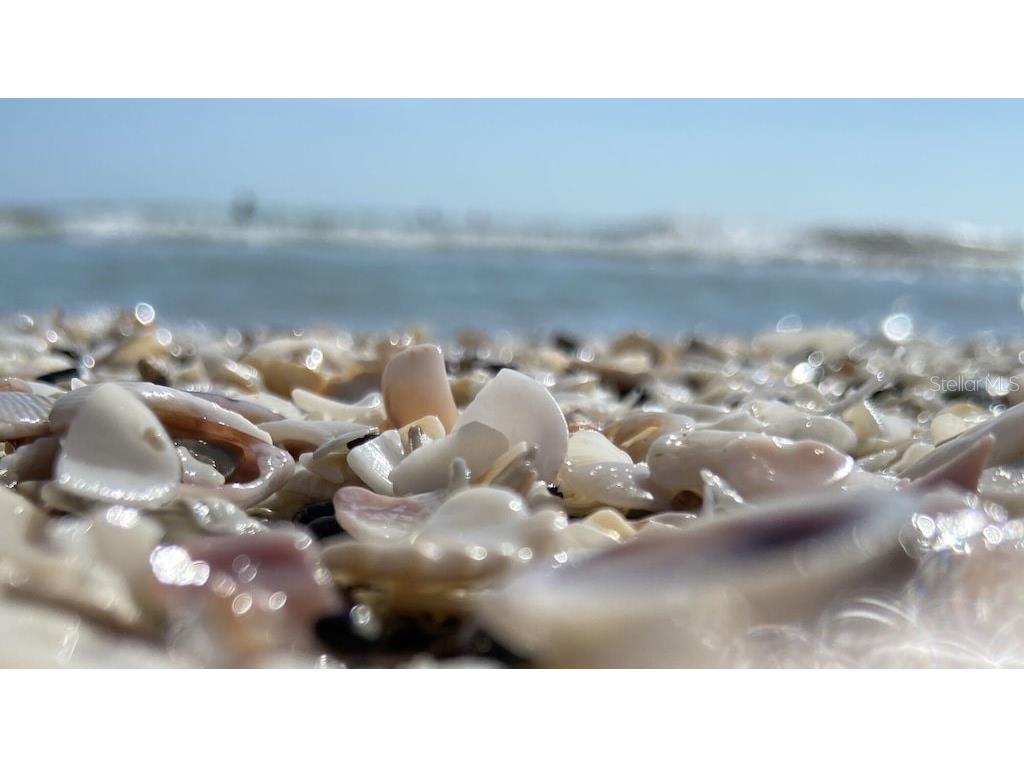 9400 Little Gasparilla Island #C3 Placida FL 33946 - GULF OF AMERICA & INTRACOASTAL O6360814 image28