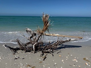 9400 Little Gasparilla Island #I-9 Placida FL 33946 - GULF OF MEXICO INTERCOASTAL W TB8500364 image24