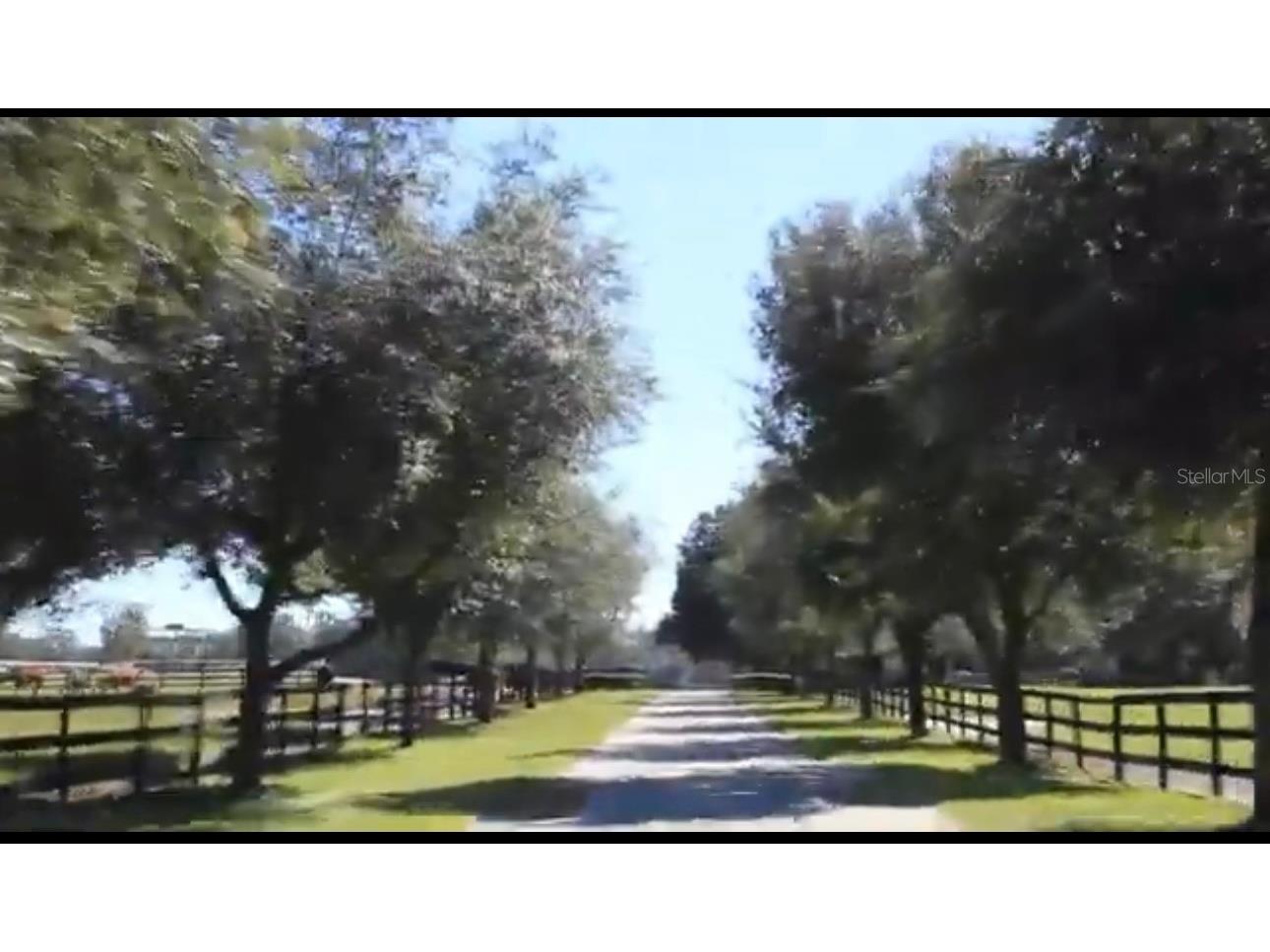 9400 NW 160th Street Reddick FL 32686 O6364015 image3