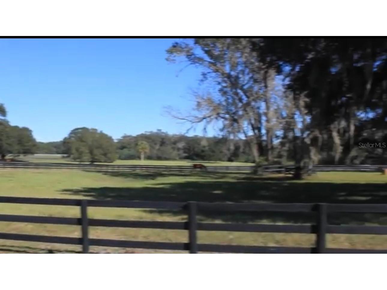 9400 NW 160th Street Reddick FL 32686 O6364015 image6