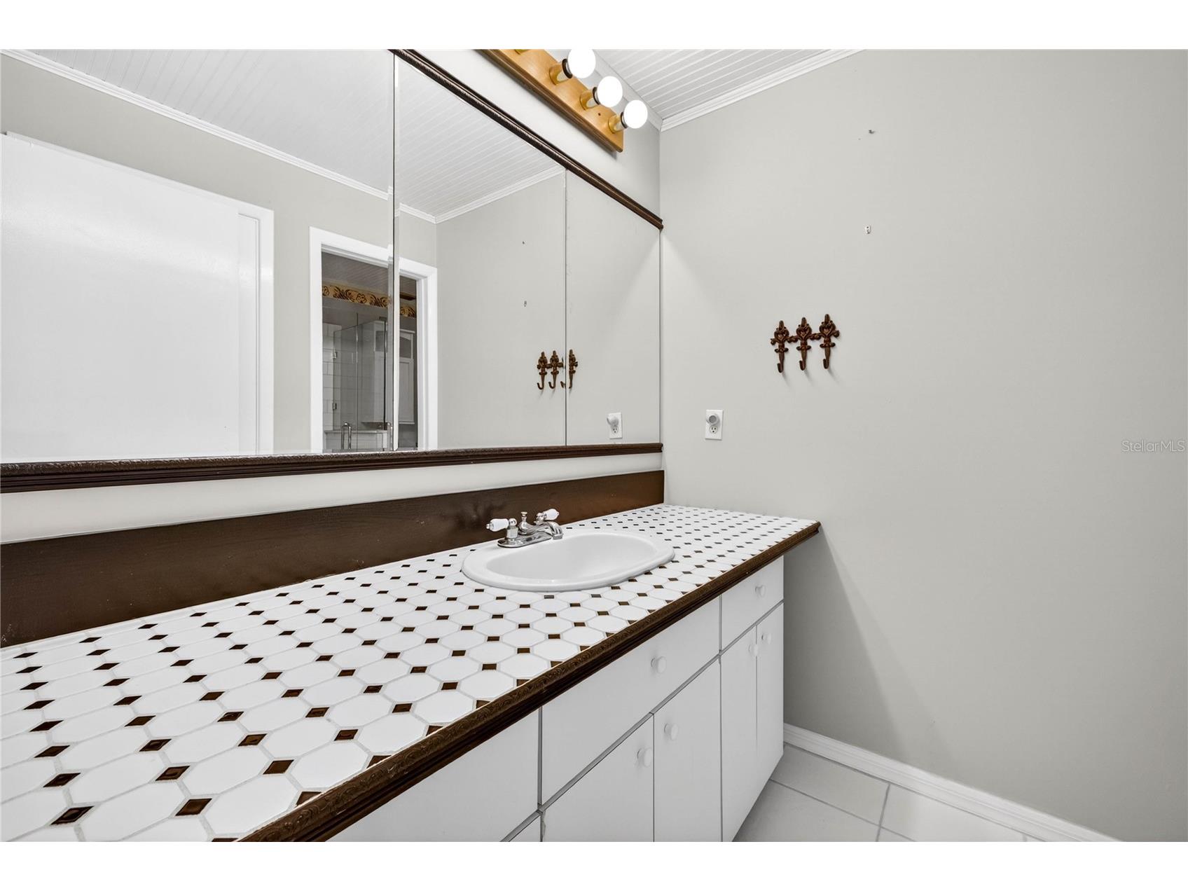 9400 Savoy Court New Port Richey FL 34654 TB8517222 image46