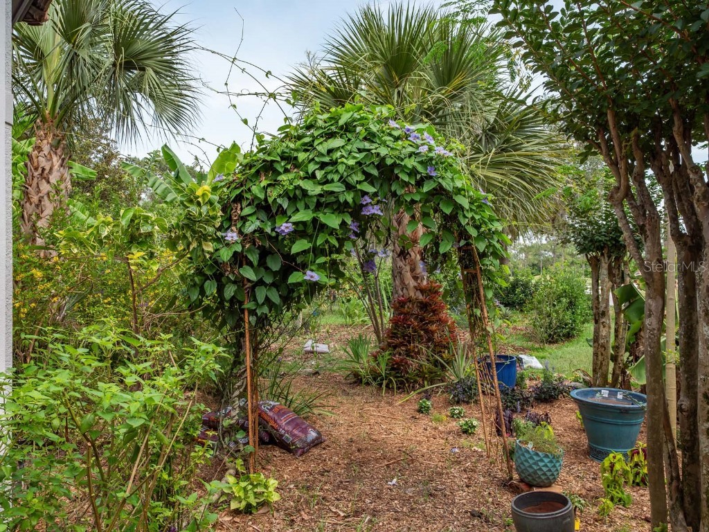 9400 Sloane Street Orlando FL 32827 - LAKE NONA O6310498 image33