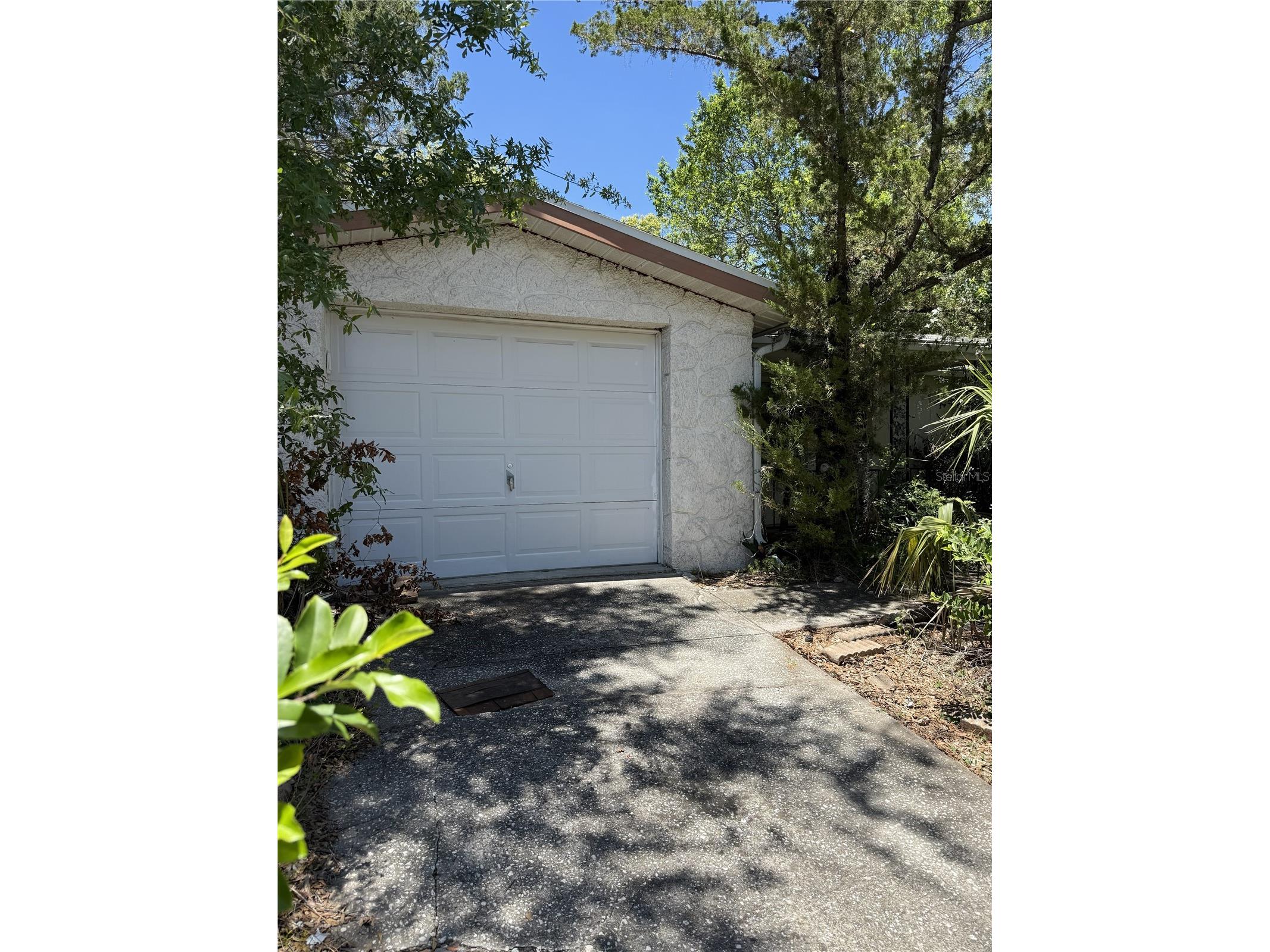 9401 Gray Fox Lane Port Richey FL 34668 W7886503 image1