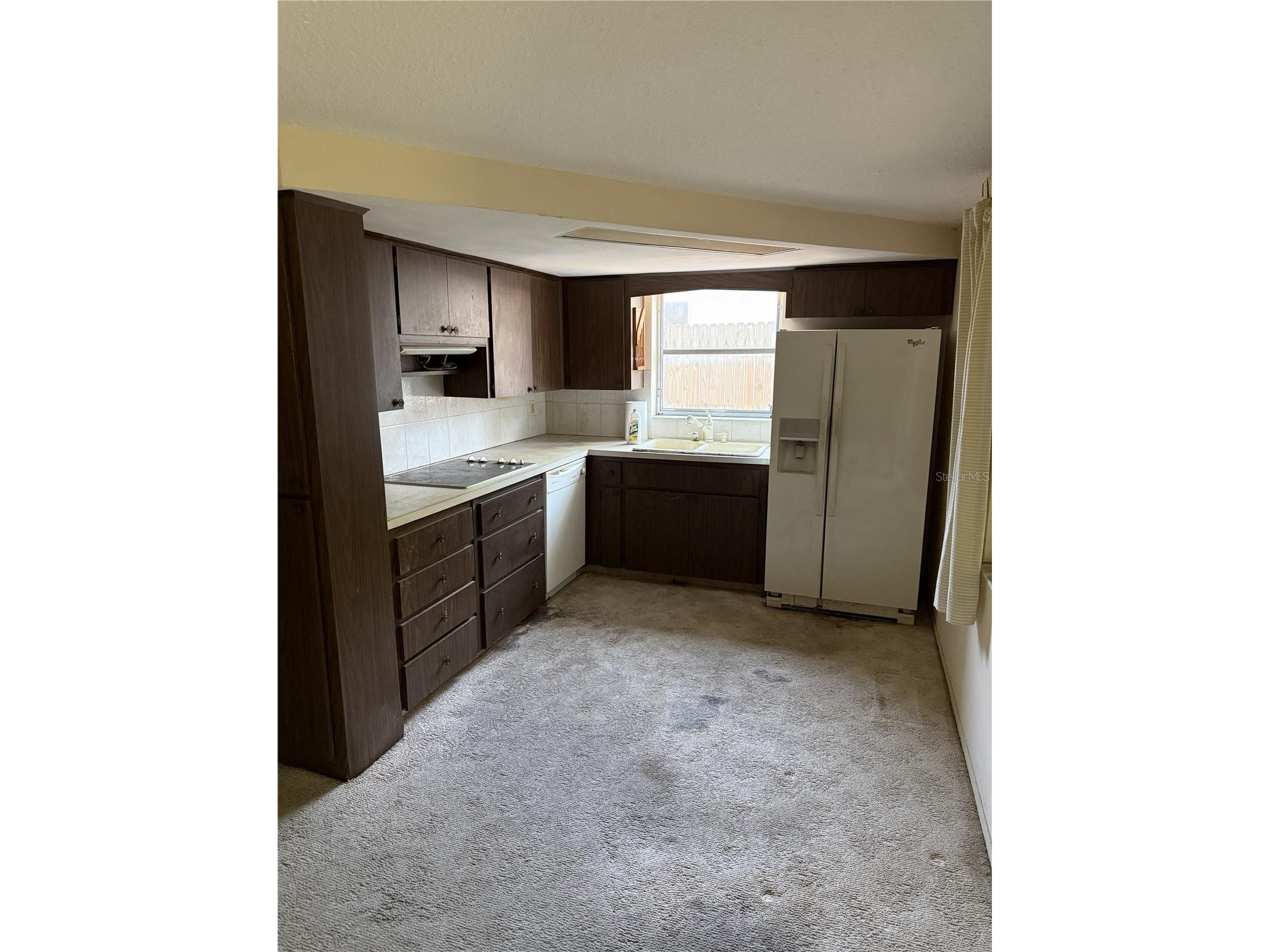 9401 Gray Fox Lane Port Richey FL 34668 W7886503 image3