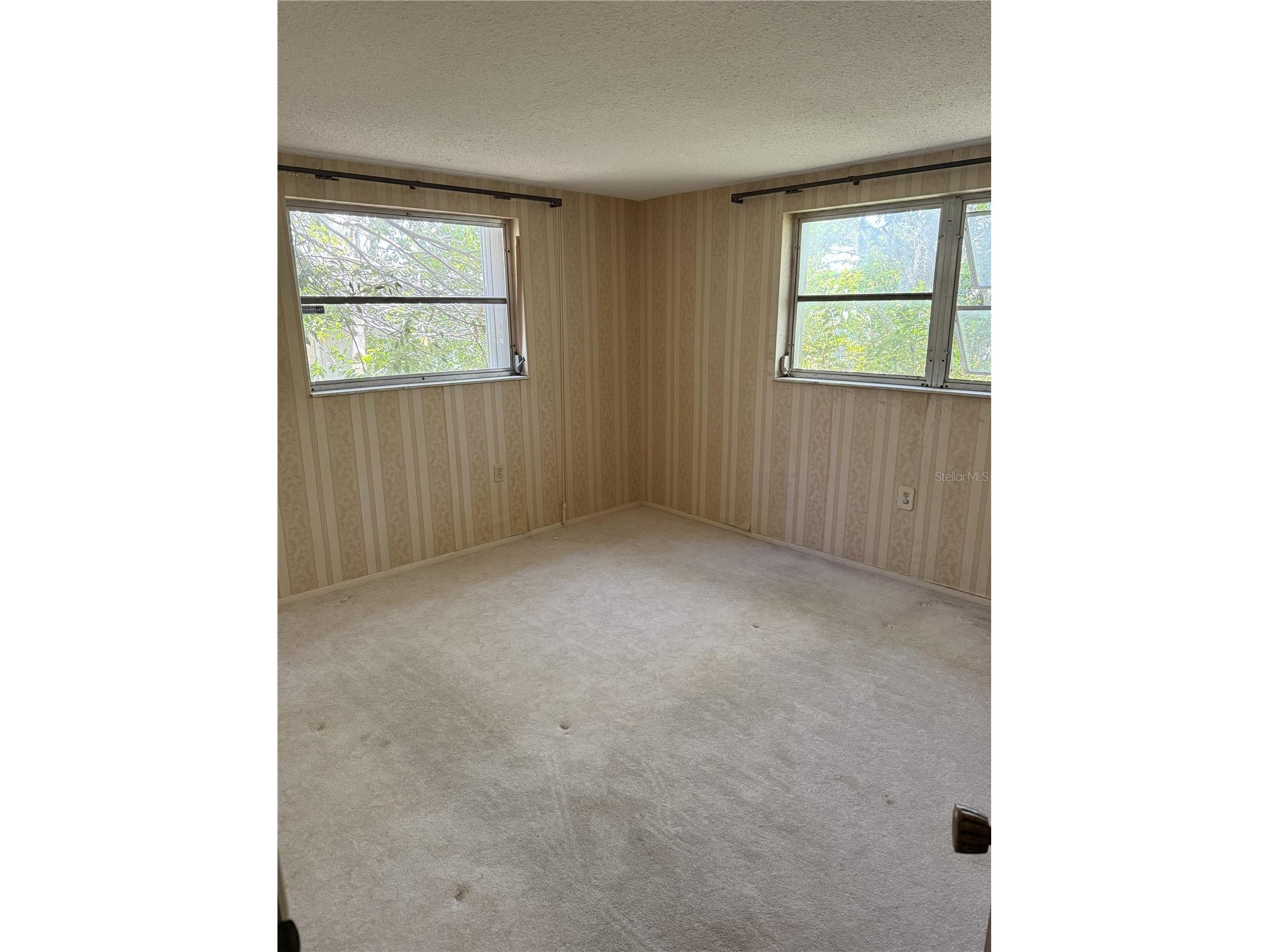 9401 Gray Fox Lane Port Richey FL 34668 W7886503 image5