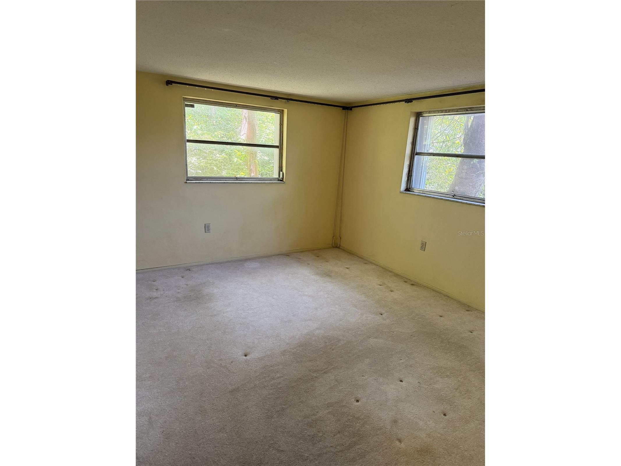9401 Gray Fox Lane Port Richey FL 34668 W7886503 image7