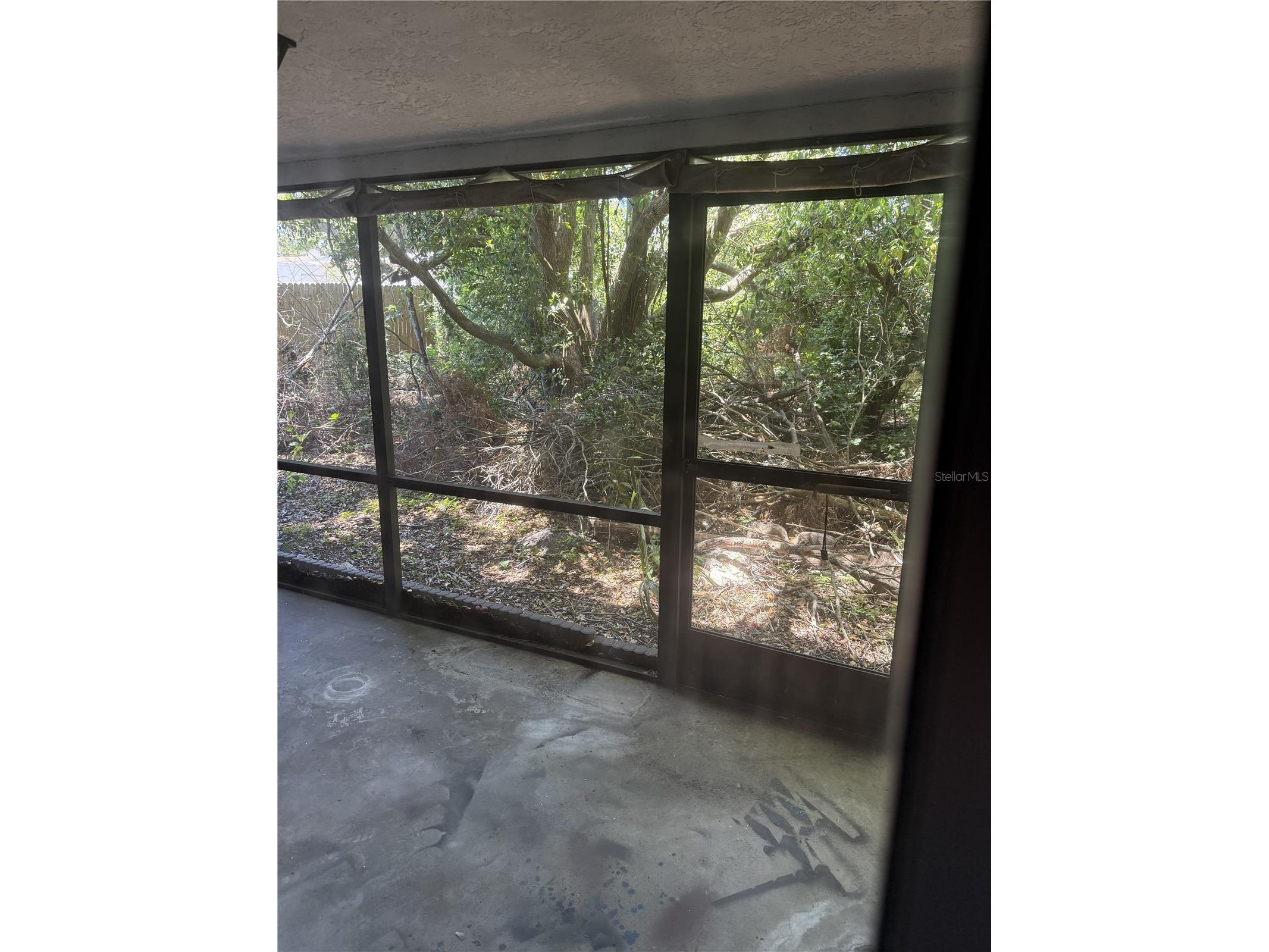 9401 Gray Fox Lane Port Richey FL 34668 W7886503 image9