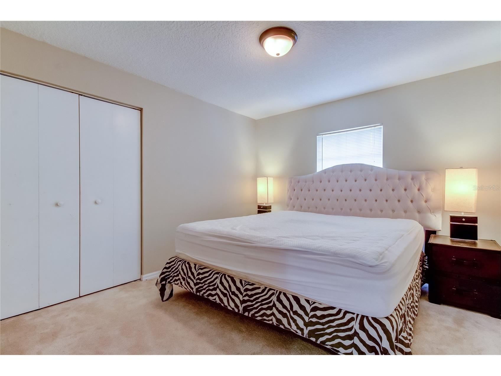 9401 Woodbay Drive Tampa FL 33626 O6394550 image29